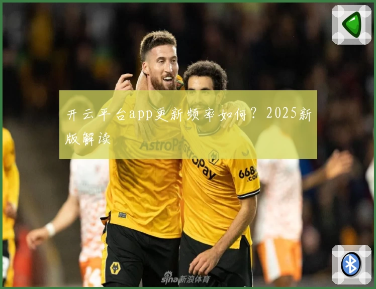 开云平台app更新频率如何？2025新版解读
